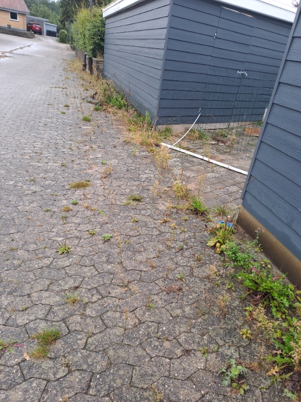 Ukrudt fjernelse og hæk klipning