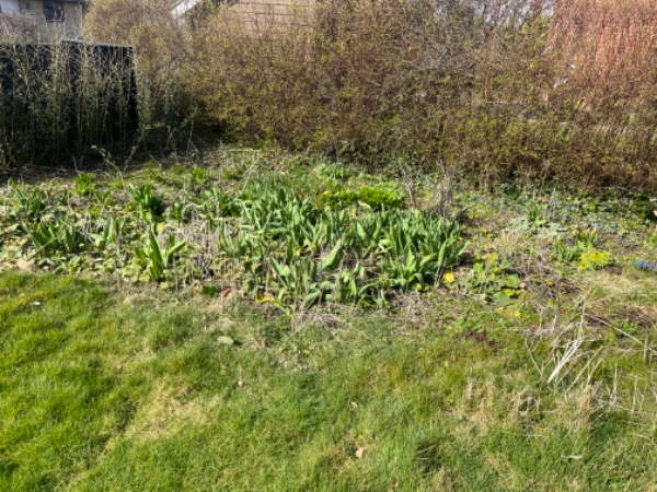 Fræsning og græssåning