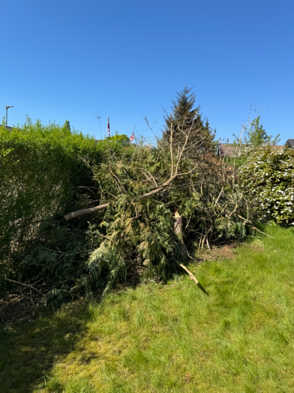 Haveaffaldsafhentning i Kolding