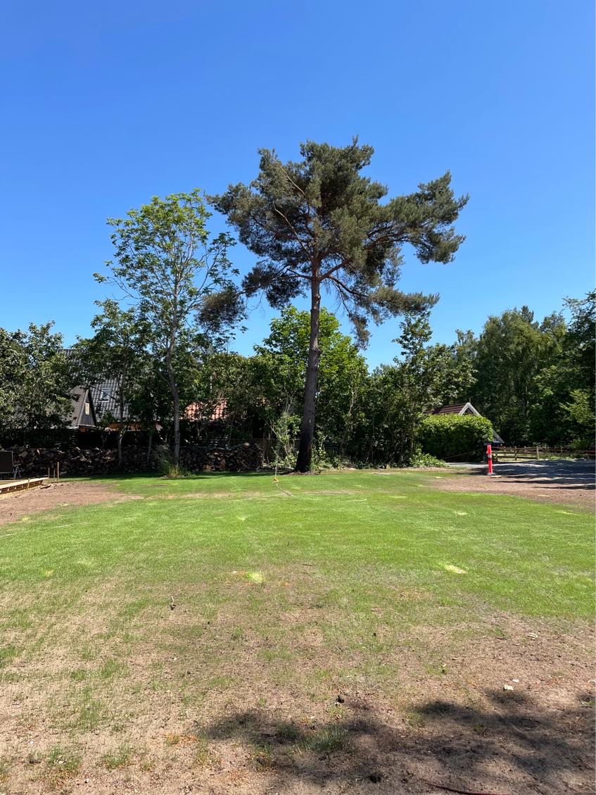 boret 90 cm dybe huller til  18-20 stolper (70*70mm s tolper til Pileflet hegn)