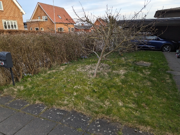 Hækfjerning og stensætning