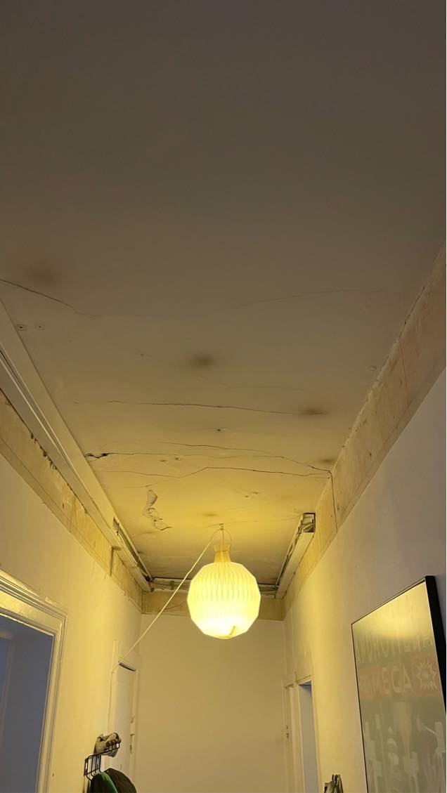 Loft repareres, spartles males.