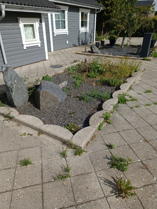 Fjerne ukrudt i stenbed, fliser og vejkant