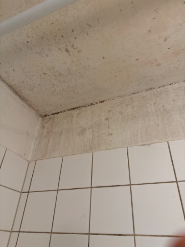 Maling af badeværelse