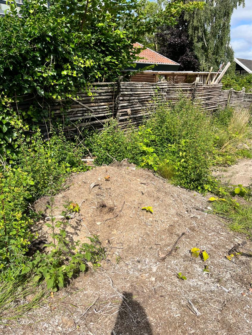 Bortkørsel af nedrevet skur plus diverse