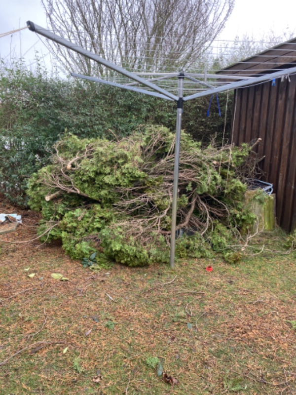 Jeg har fældet et træ lokalitet Humlebæk, og har brug for en, der kan køre det på genbrugsstationen