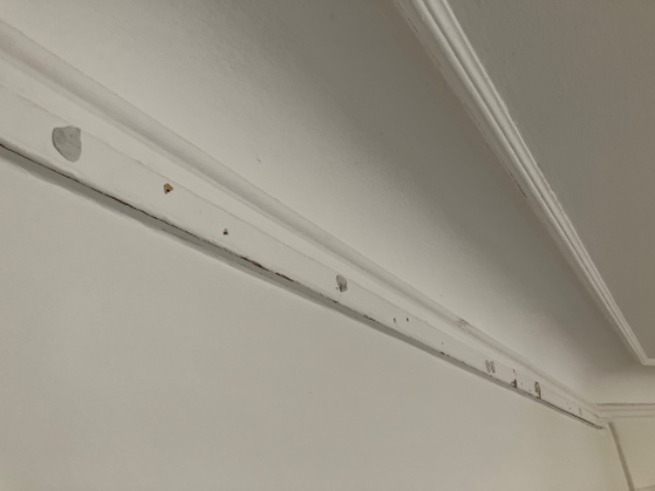 Revne ved loft + fodpanel