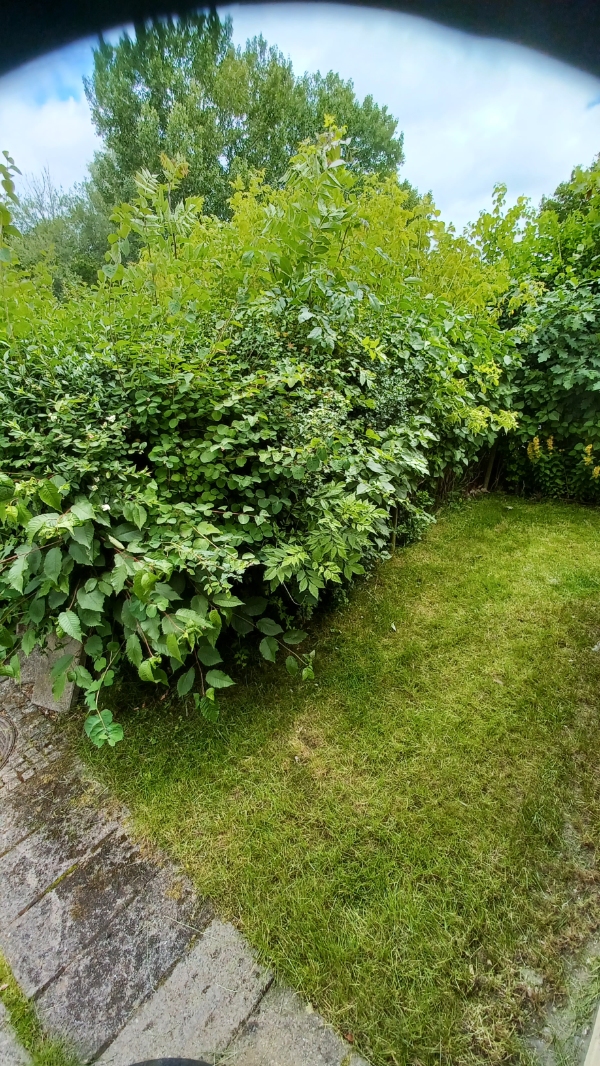 Hækklipning og haveaffaldssamling