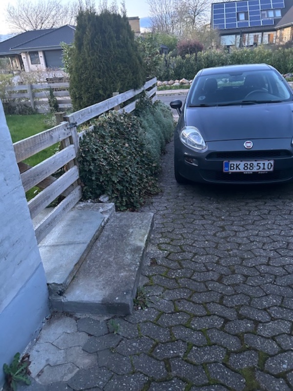 indkørsel og gangsti med trapper