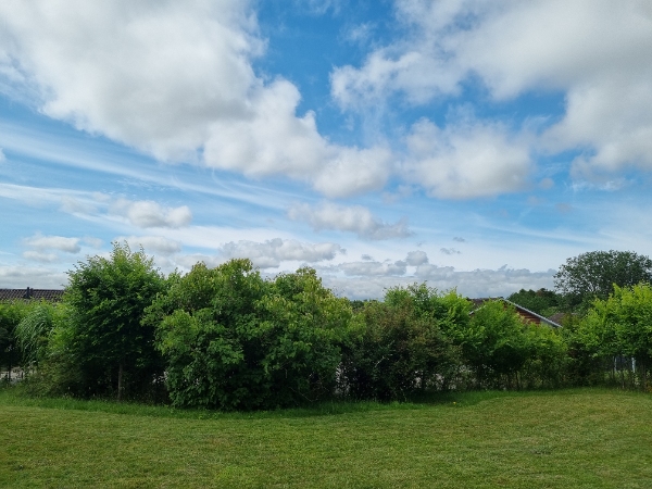 Hækkeklipning, og ligne