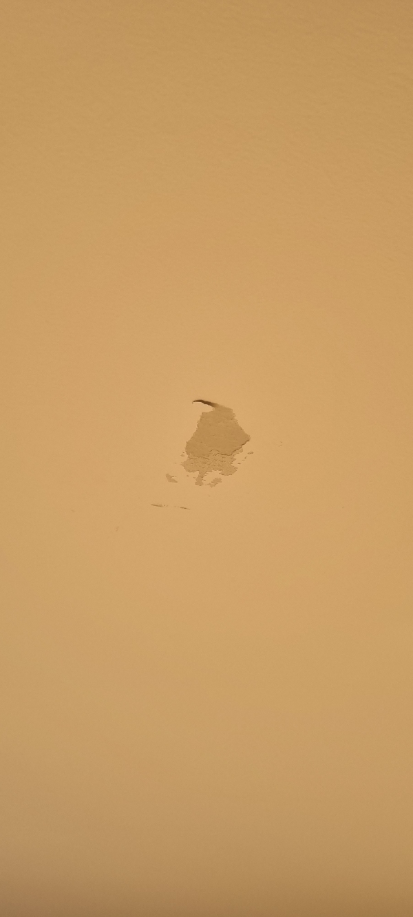 Loft i stue. Spartel og maling af beskadiget områder.