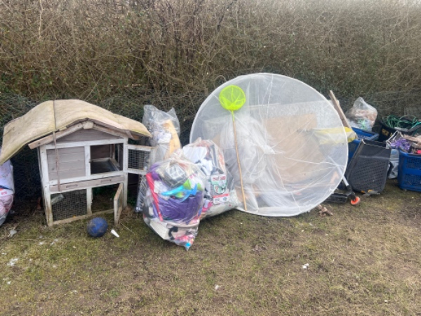 Hjælp til at fjerne alt skrald fra haven