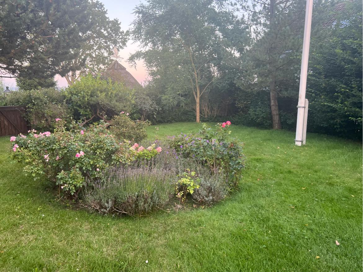 Gartner søges til havearbejde