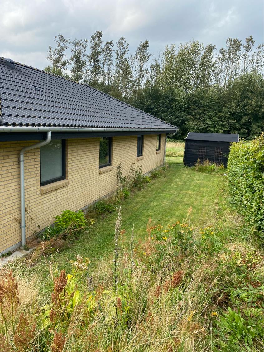 Fjerne ukrudt i haven