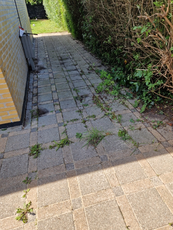 Fjerne ukrudt og klippe hæk