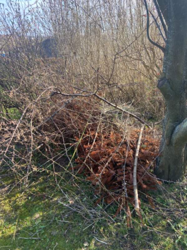 Klippet hæk og fjernet en bunke haveaffald