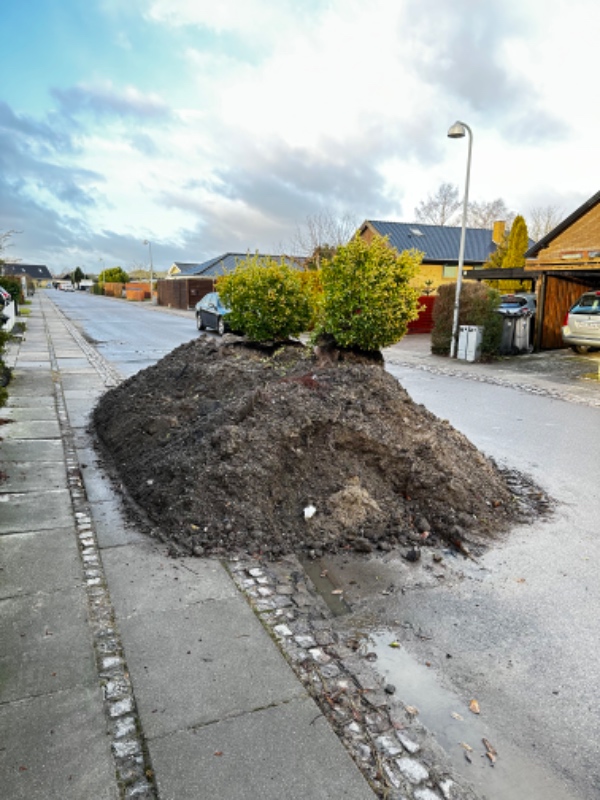 Bortkørsel af jord
