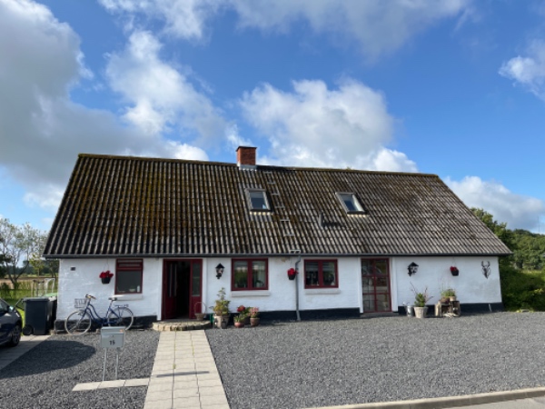 Pudse og male/kalke skorsten