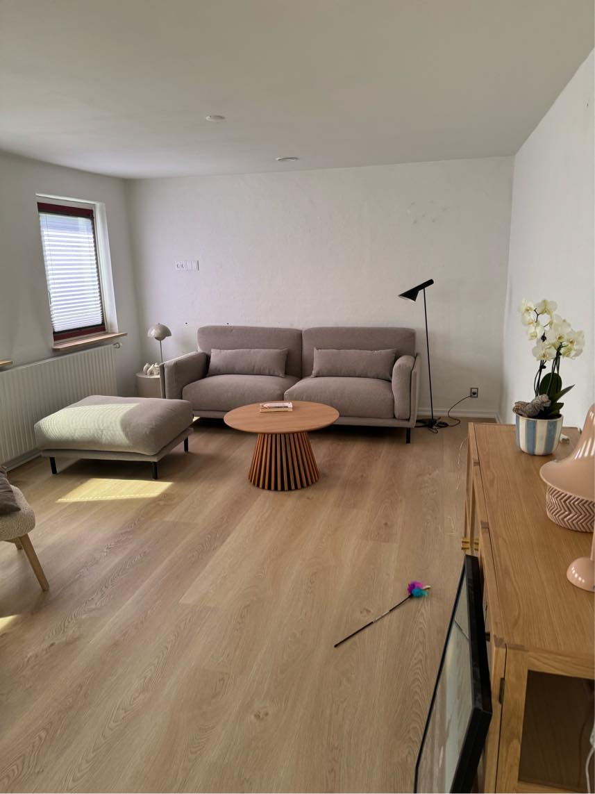 Spartling af loftluge, maling af vægge og loft