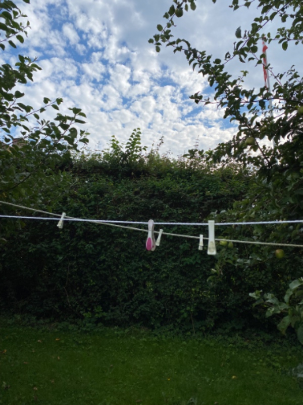 Beskæring af frugttræer og hæk