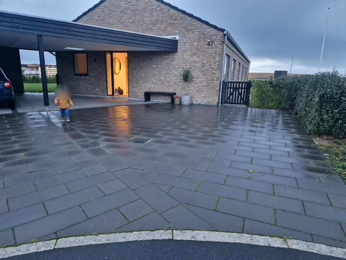 Fjernet ukrudt i hæk, bede og mellem fliser