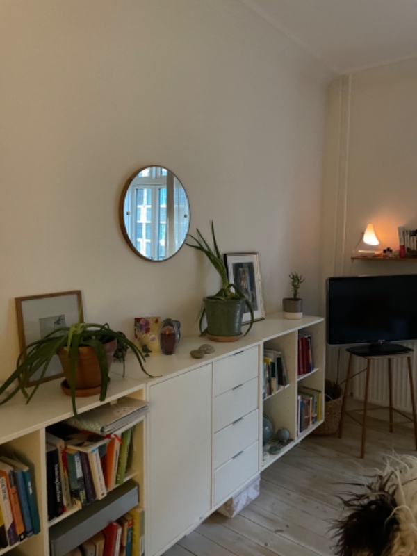 Samlet et pax skab og hængt tre reoler op, som på billede. Hængt spejl op og to hylder i køkkenet.