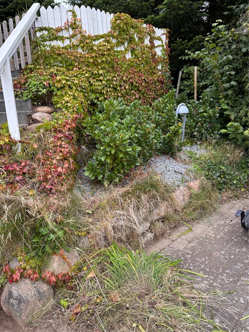 Rydning af ukrudt og sten