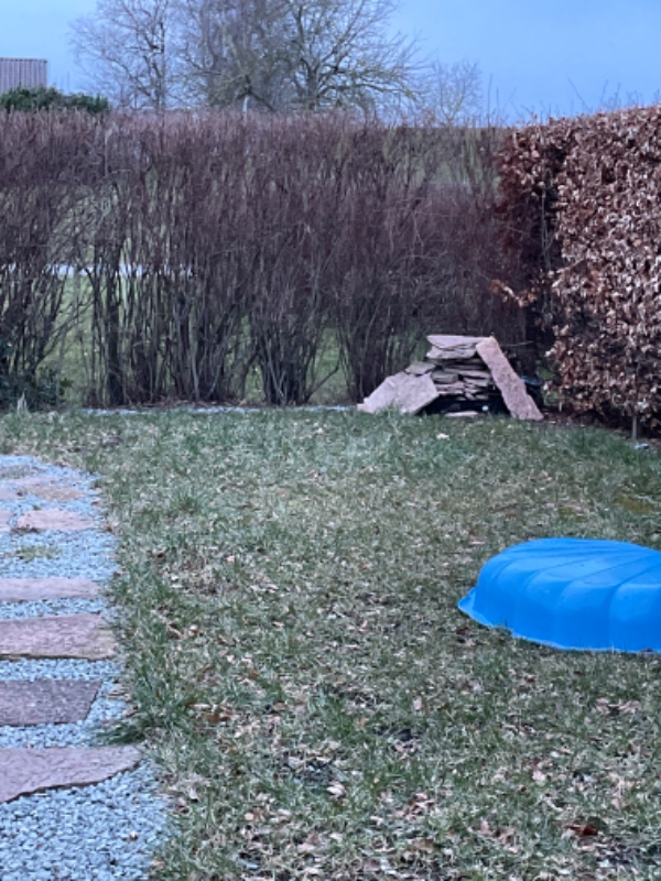 Fjernet affald i forhave og baghave