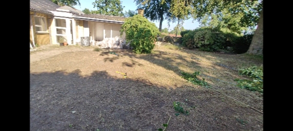 Haveoprydning en dag