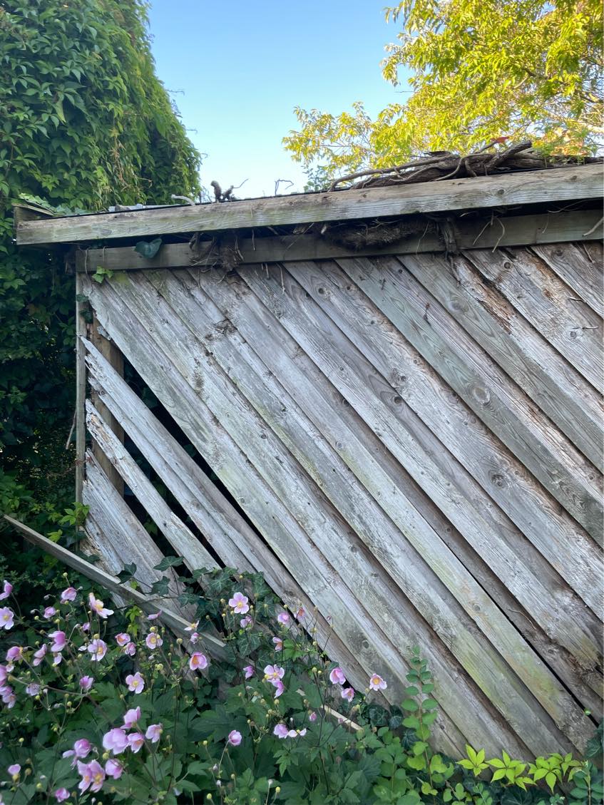 Renovering af carport