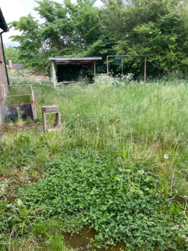 Klipning og trimning af have