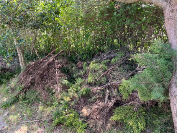 Bortførsel af have affald