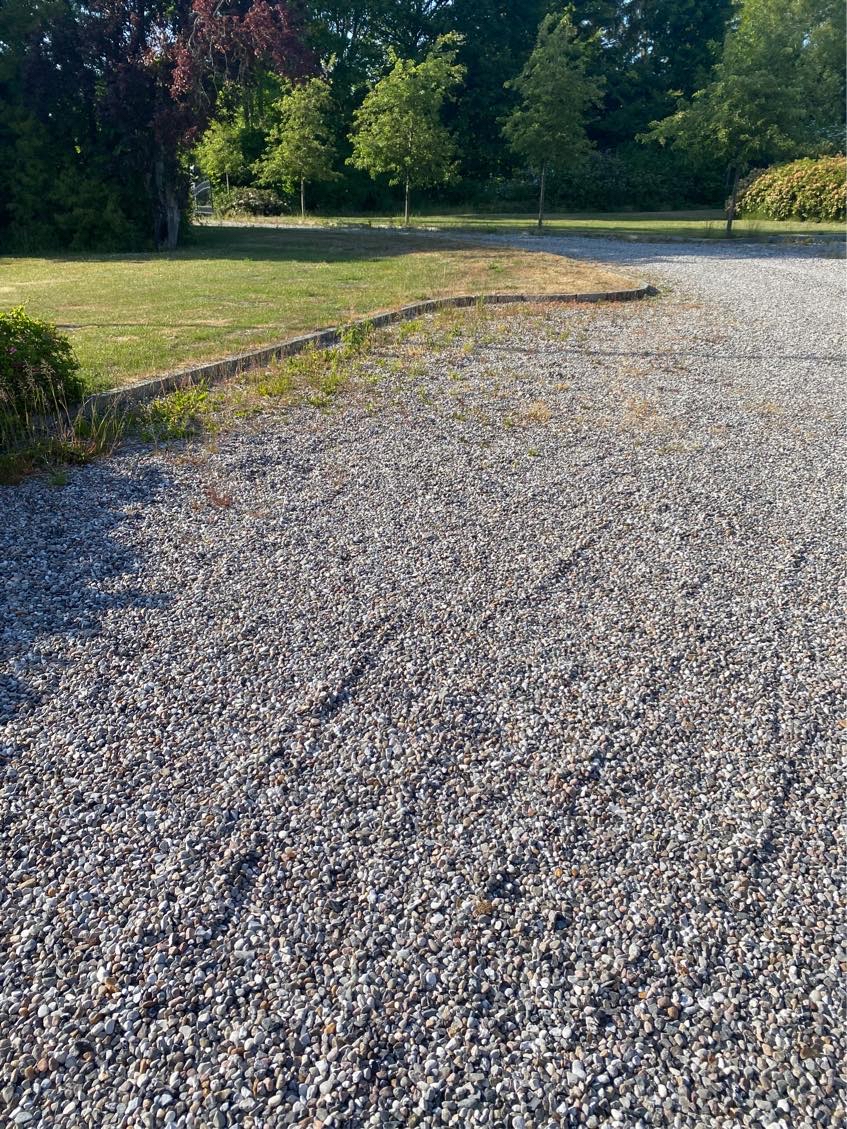 Ukrudt i stor gårdsplads - perlesten