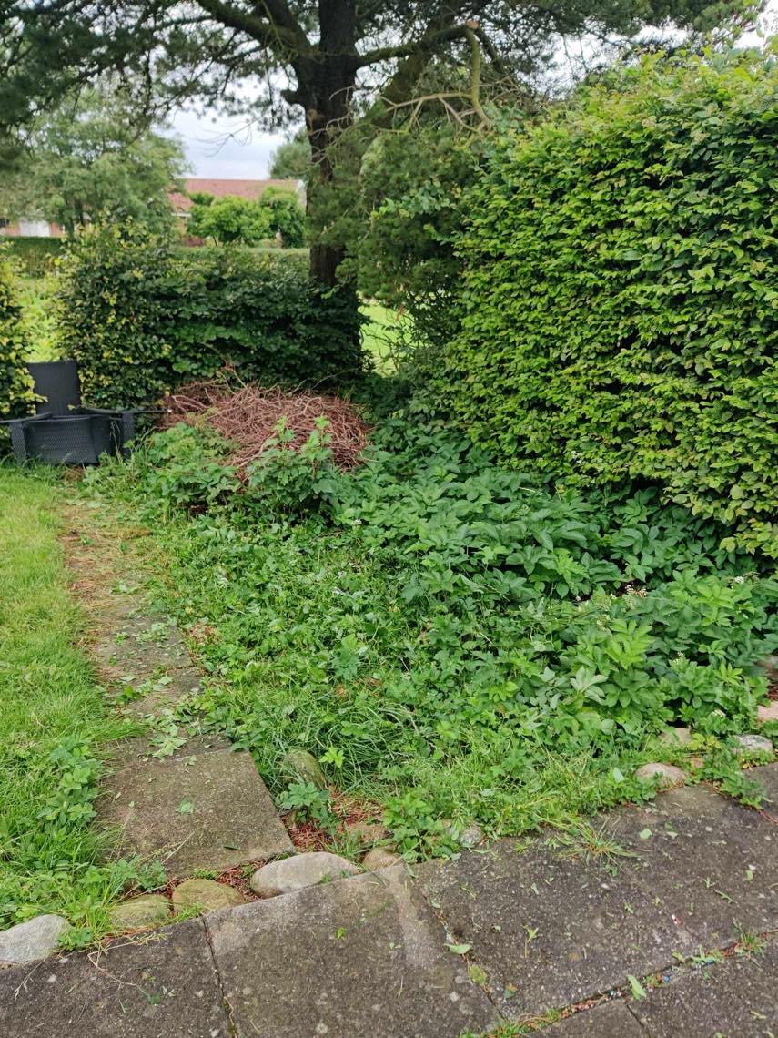 Fjernet ukrudt, klippe hæk og trimme græs i Billund