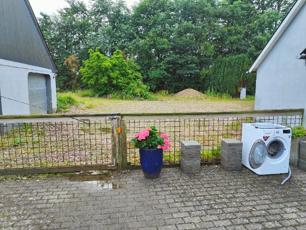 Fjernelse af ukrudt i gård og indkørsel