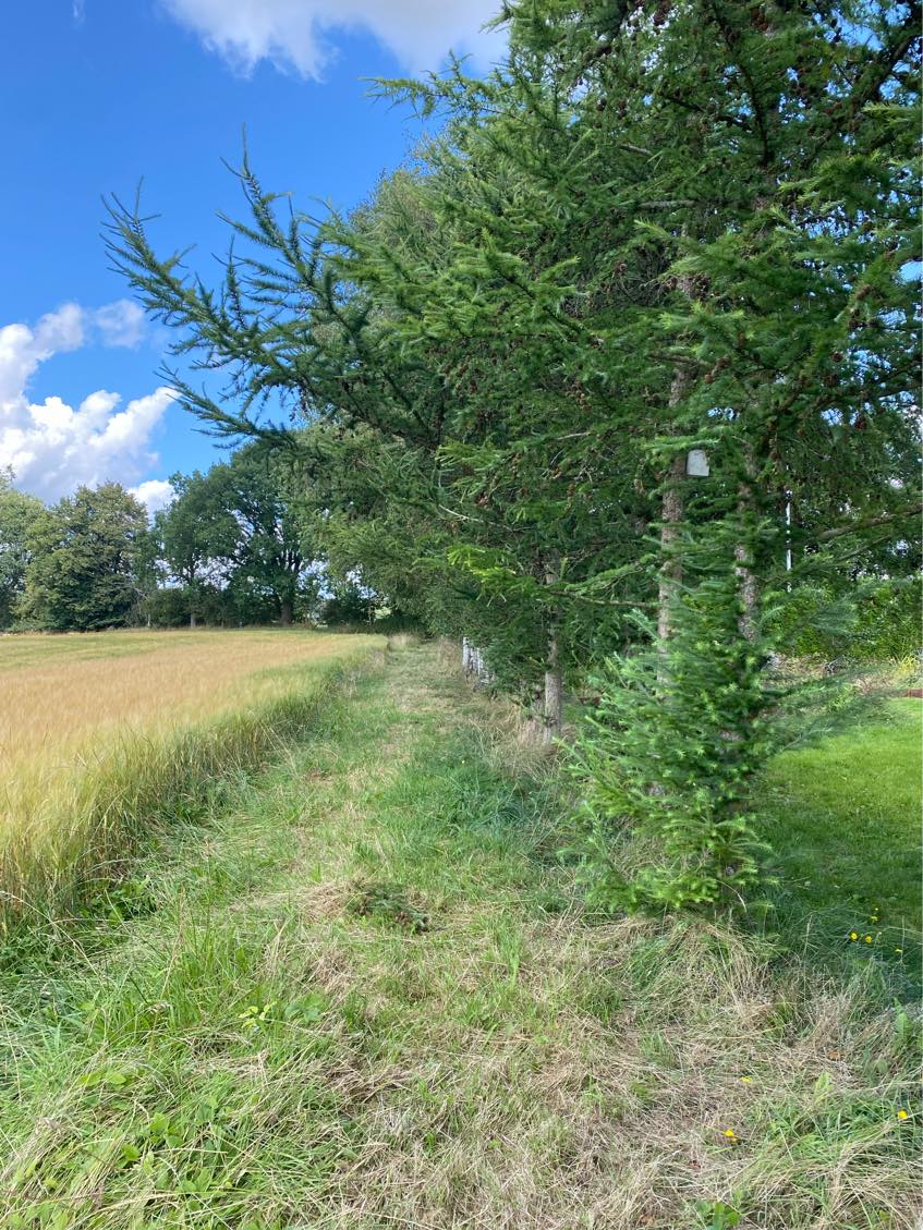 Opsetning af 160 meter trådhegn