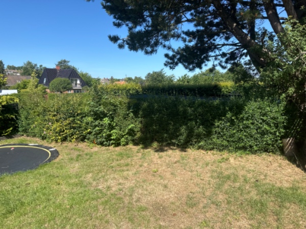 Klippet ca 100m hæk