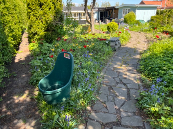 Fjernelse af staudebede og skvalderkål