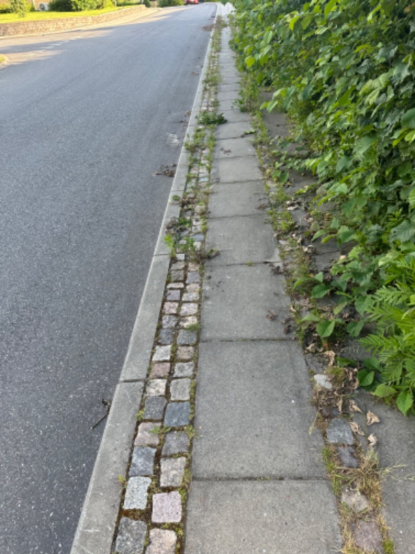 Rydning af ukrudt på fortov