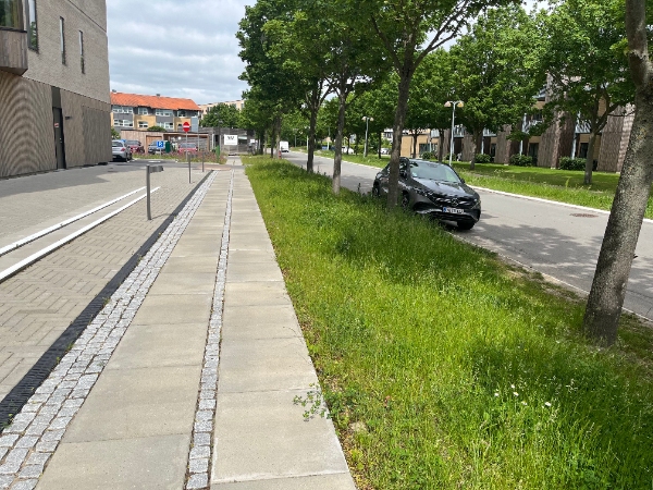 Græsrydning med buskrydder