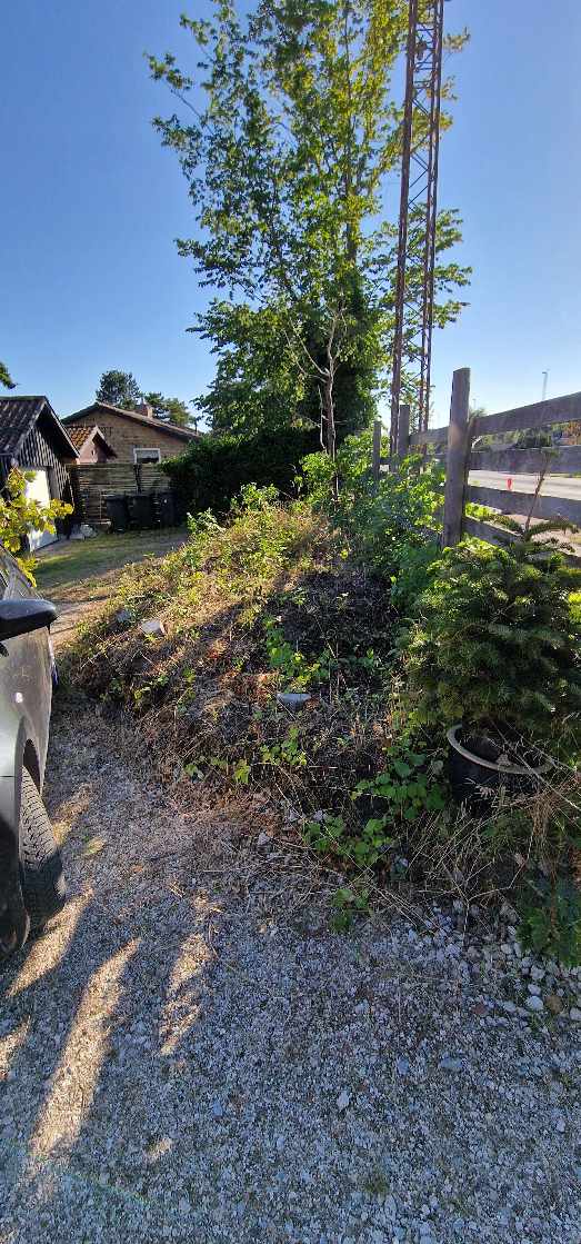 Opgravning og bortkørsel af sandjord
