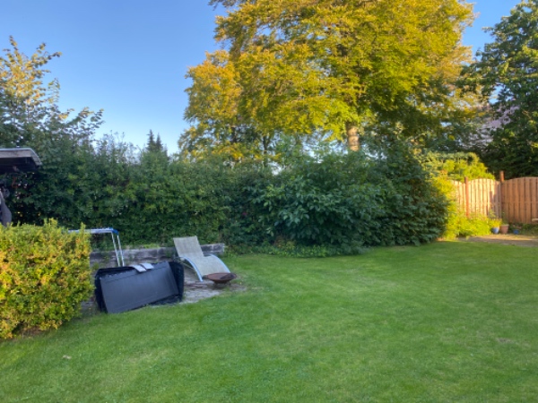 Hække klipning og bortkastet