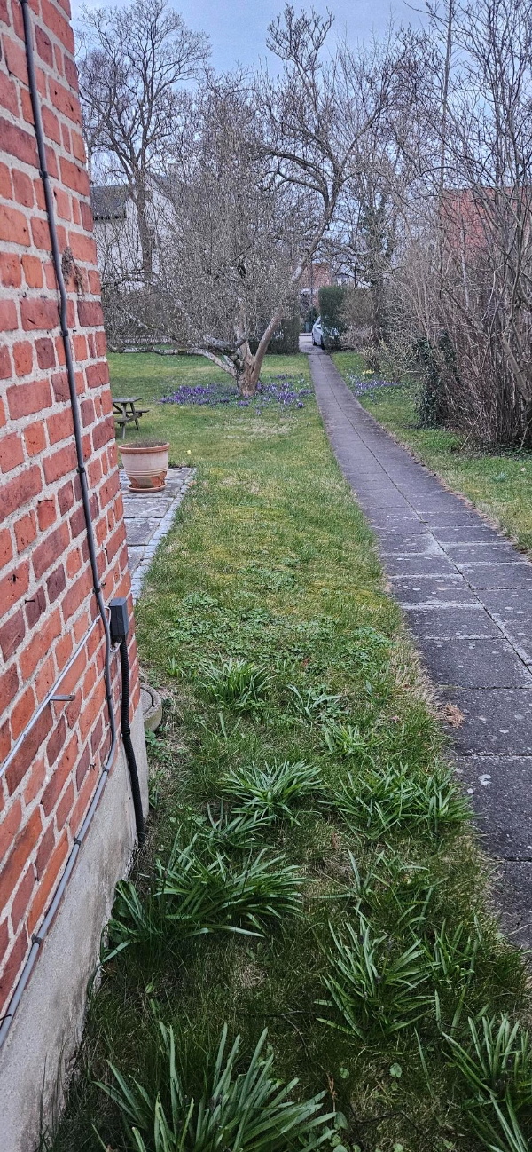 Udgravning til elkabel 40m