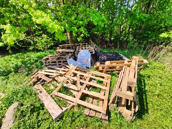 Bortkørsel af affaldstræ