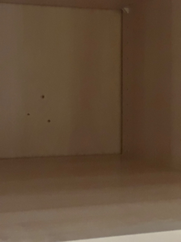 Håndværker/handyman