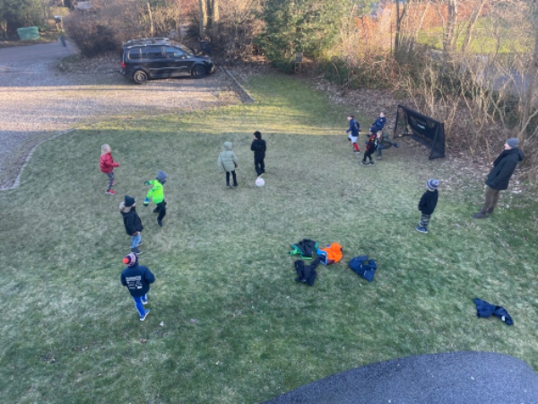 Græsslåning 2x månedligt i Hørsholm