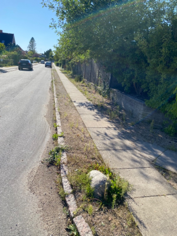 Fjerne ukrudt på 50m fortov (hjørnegrund)