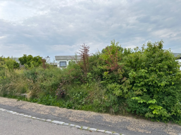 Have rydning af forhave