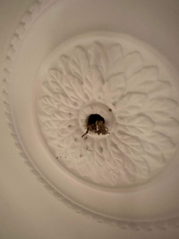 jeg skal have monteret en loftslampe/pendel, men ledning er ikke lang nok