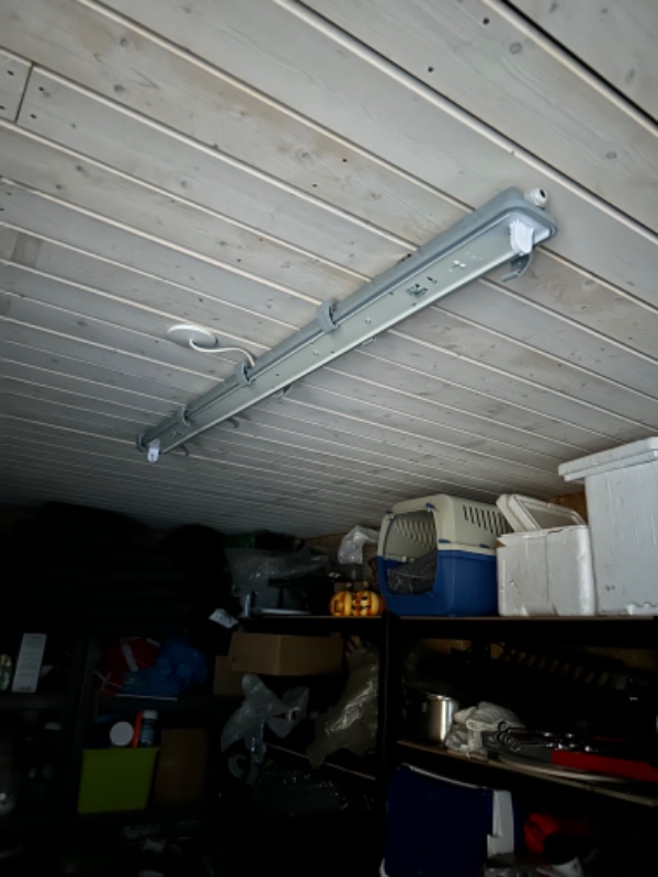 Lampeudskiftning i skur